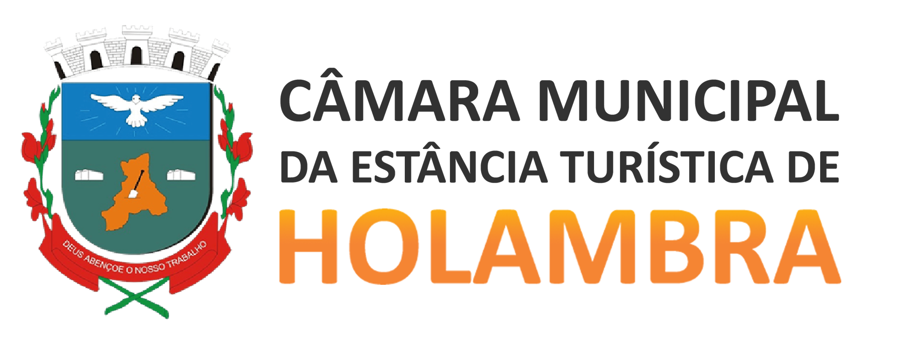 Logo camara